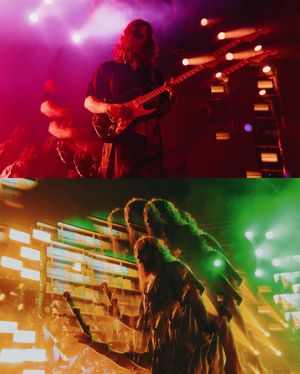 Image post by @hippiesabotage on Instagram