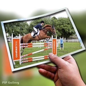 Image post by @snaffle_it on Instagram