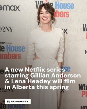 Image post by @curiocitycalgary on Instagram