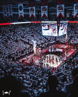 Image post by @razorbackmbb on Instagram