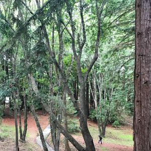 Image post by @ucsc on Instagram