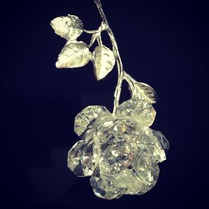 Image post by @oi_glass on Instagram
