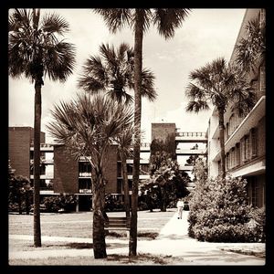 Image post by @ufhousing on Instagram