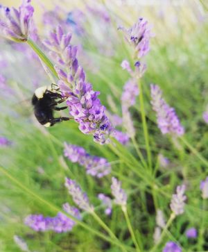 Image post by @seattleu on Instagram