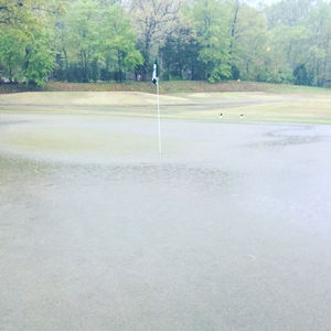 Image post by @tgfjuniorgolf on Instagram