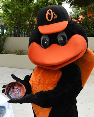 Image post by @orioles on Instagram