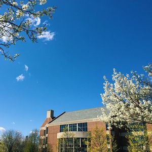 Image post by @olivetnazarene on Instagram