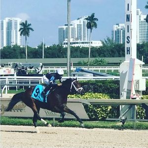 Image post by @drelizabethlewis on Instagram