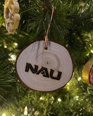 Image post by @nauflagstaff on Instagram