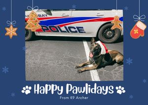 Image post by @palmbaypd on Instagram