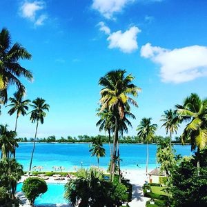 Image post by @hiltonhotels on Instagram