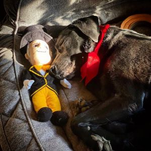 Image post by @wfuniversity on Instagram