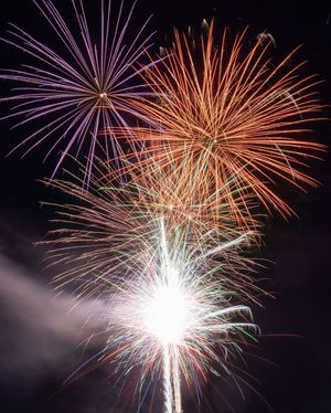 Image post by @gopaddleheads on Instagram