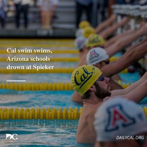 Image post by @dailycalsports on Instagram