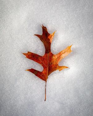 Image post by @unsplash on Instagram