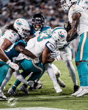 Image post by @dolphins_esp on Instagram