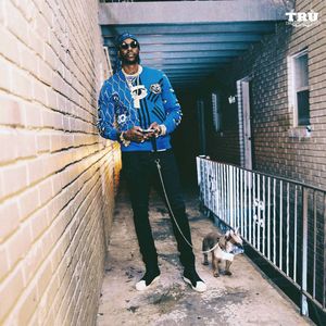 Image post by @2chainz on Instagram