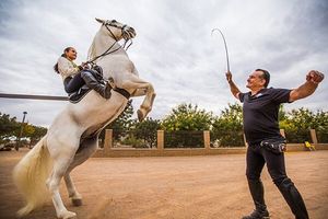 Image post by @ariannagrainey on Instagram