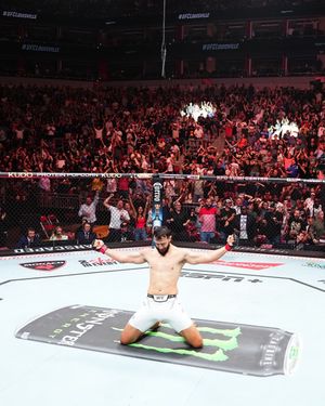 Image post by @ufc on Instagram