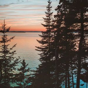 Image post by @themainemag on Instagram