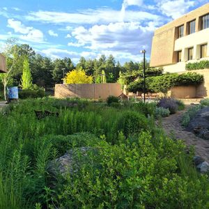 Image post by @nauflagstaff on Instagram