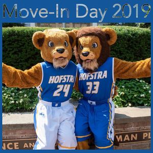 Image post by @hofstrau on Instagram