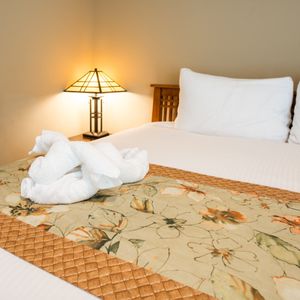 Image post by @residencesatbiltmore on Instagram