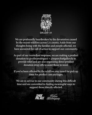 Image post by @shoepalace on Instagram