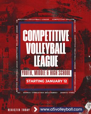 Image post by @a5vball on Instagram