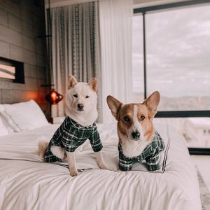 Image post by @ihghotels on Instagram