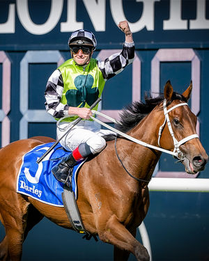 Image post by @australianturfclub on Instagram