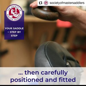 Image post by @performancesaddlefitssthsydney on Instagram