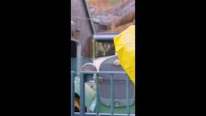 Video post by @waltdisneyimagineering8915 on YouTube