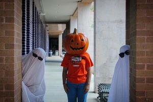 Image post by @utrgv on Instagram