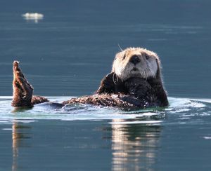 Image post by @nationalparkservice on Instagram