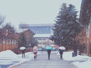 Image post by @nauflagstaff on Instagram