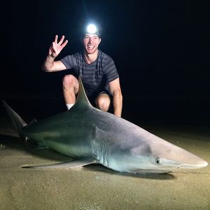 Image post by @dudeperfect on Instagram