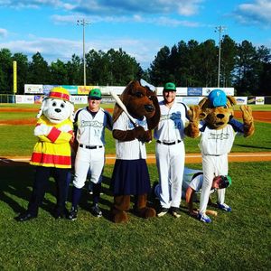 Image post by @cplbaseball on Instagram