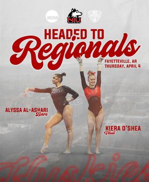 Image post by @niugymnastics on Instagram