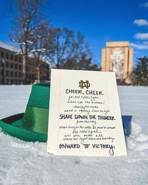 Image post by @thefightingirish on Instagram