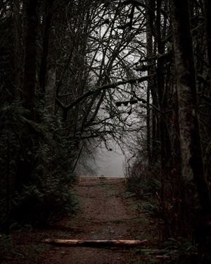 Image post by @tamanephotography on Instagram