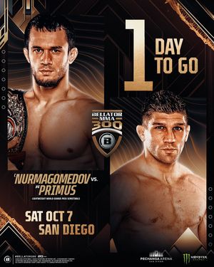 Image post by @bellatormma on Instagram