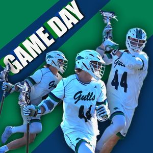 Image post by @endicottmlax on Instagram
