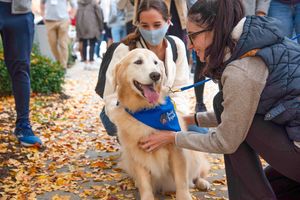 Image post by @evmsedu on Instagram