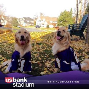 Image post by @usbankstadium on Instagram