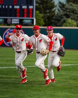 Image post by @isuredbirdbaseball on Instagram