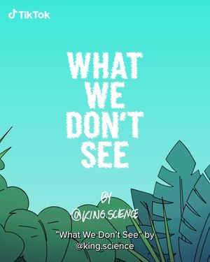 Image post by @tiktok on Instagram