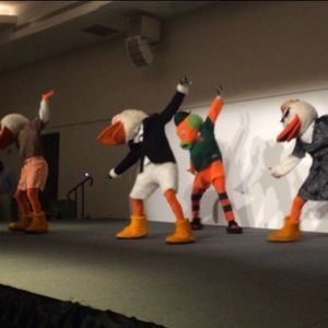 Image post by @um_sebastian on Instagram