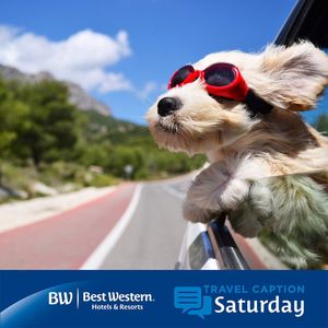 Image post by @bestwestern on Instagram
