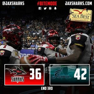 Image post by @jaxsharks on Instagram